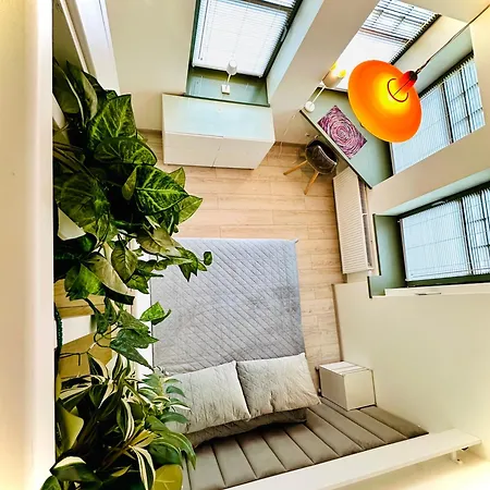 Evergreen House Sopot